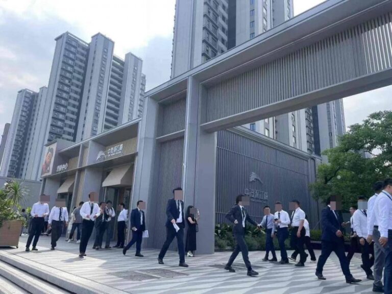 ex外汇官方网站今日外汇市场波动，你会如何把握机会？